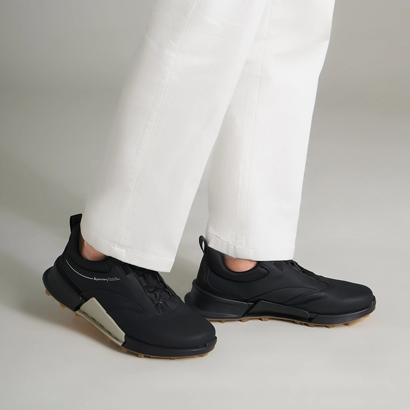 AQUASCUTUM