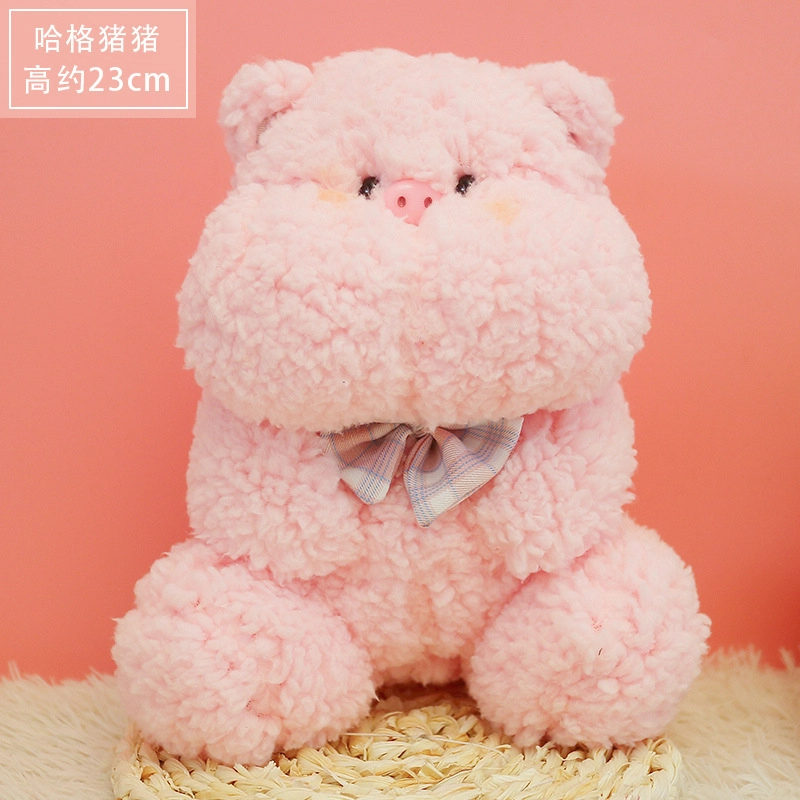 23cm