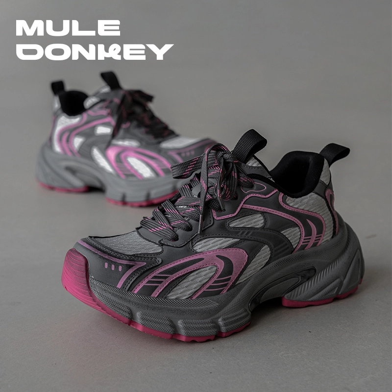 Mule Donkey