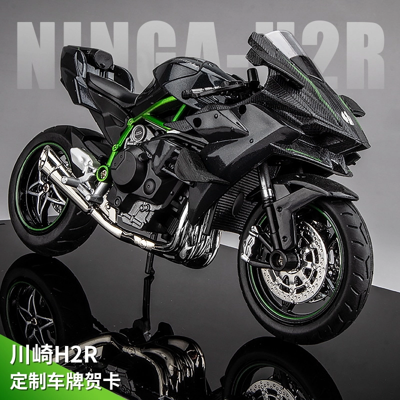 FEN JIE x Kawasaki 19 H2R