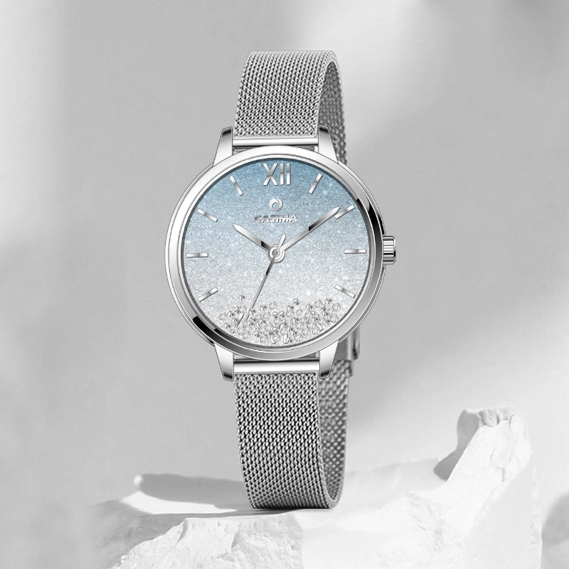 CASIMA CS2307