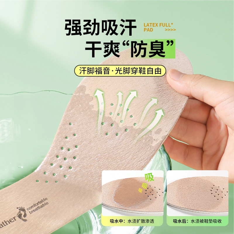 迈高乐 二层透气舒适吸汗防臭板鞋帆布鞋 猪皮乳胶 鞋垫 男女同款情侣款