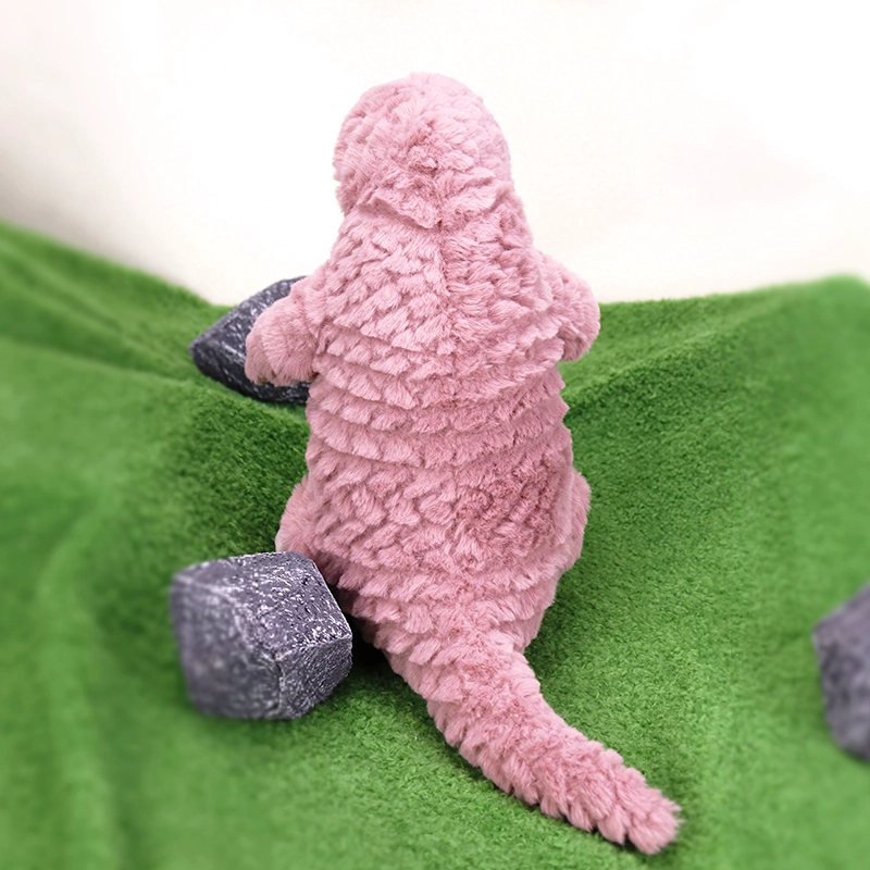 29cm