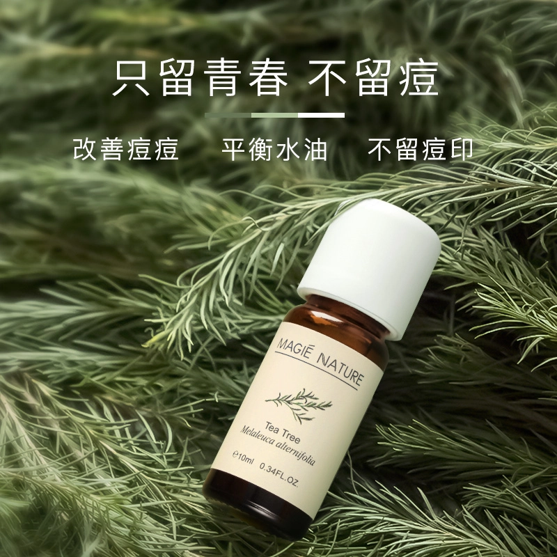 有机茶树精油互生叶白千层单方纯 澳洲进口 香薰 适合痘肌