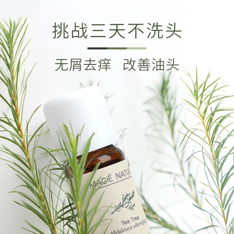 有机茶树精油互生叶白千层单方纯 澳洲进口 香薰 适合痘肌