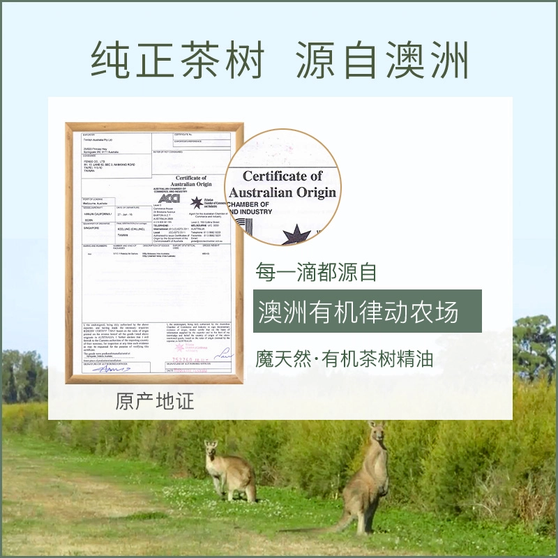 有机茶树精油互生叶白千层单方纯 澳洲进口 香薰 适合痘肌