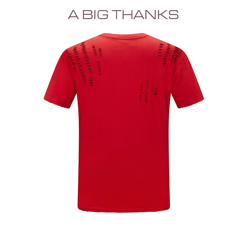 abigthanks T
