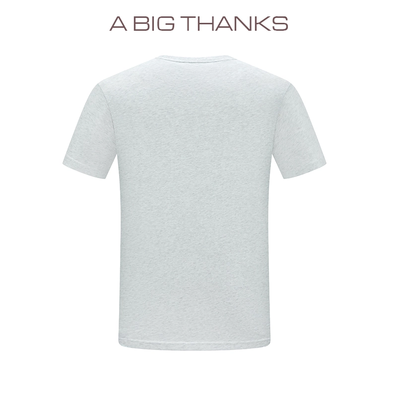 abigthanks T