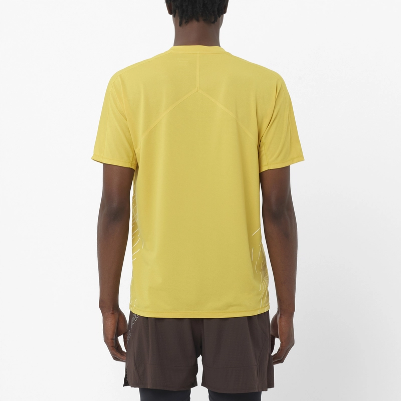 SALOMON T