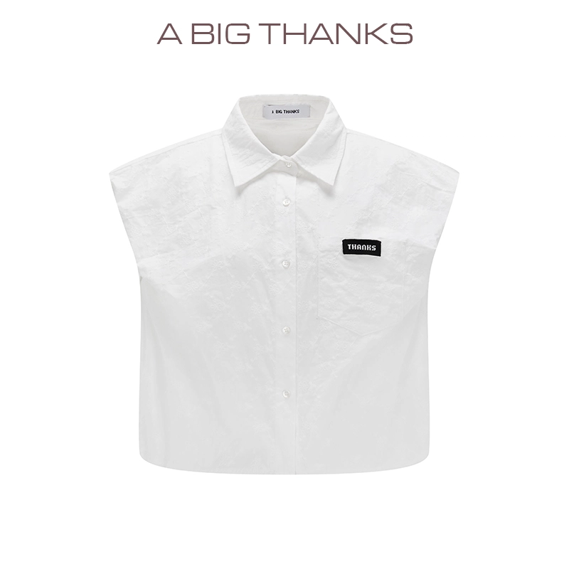 abigthanks