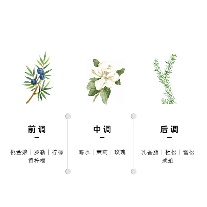 EDT 3075150ml