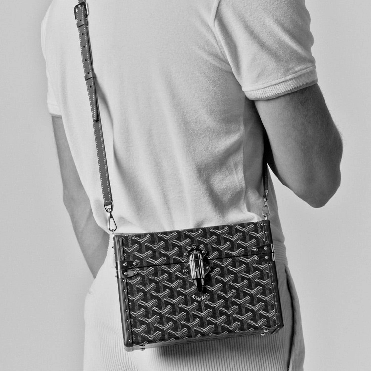 GOYARD Cassette Y TRUNK