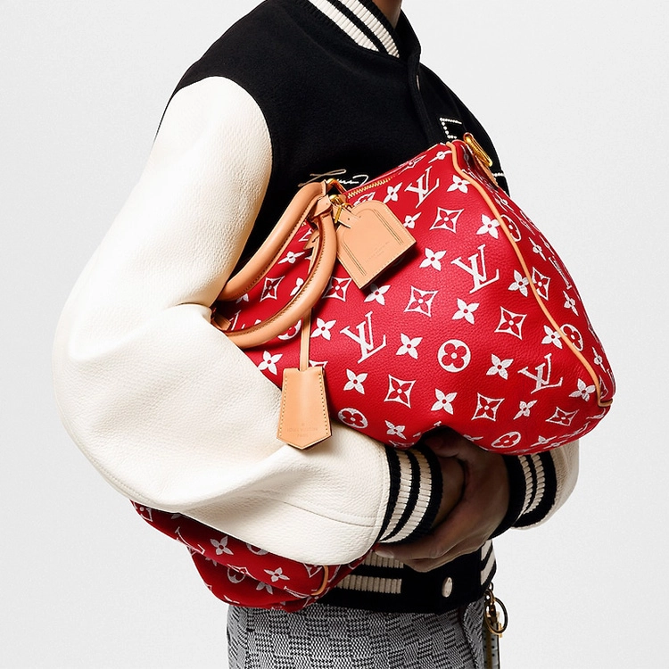 LOUIS VUITTON Speedy 40
