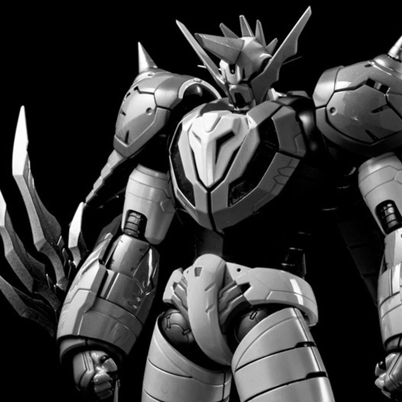 RIOBOT