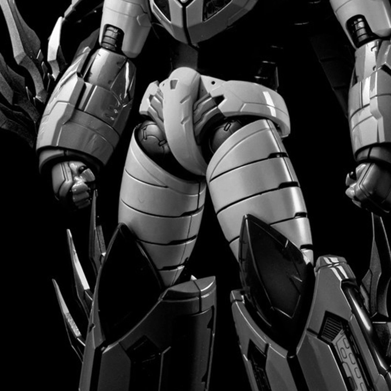 RIOBOT