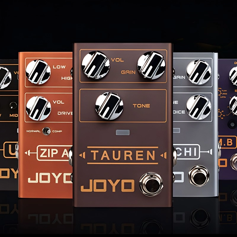 JOYO () R-12 BAND CONTROLLER