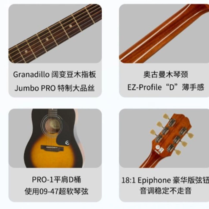 Epiphone PRO-1 41 D