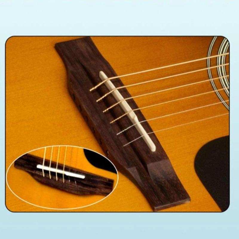Epiphone PRO-1 41 D