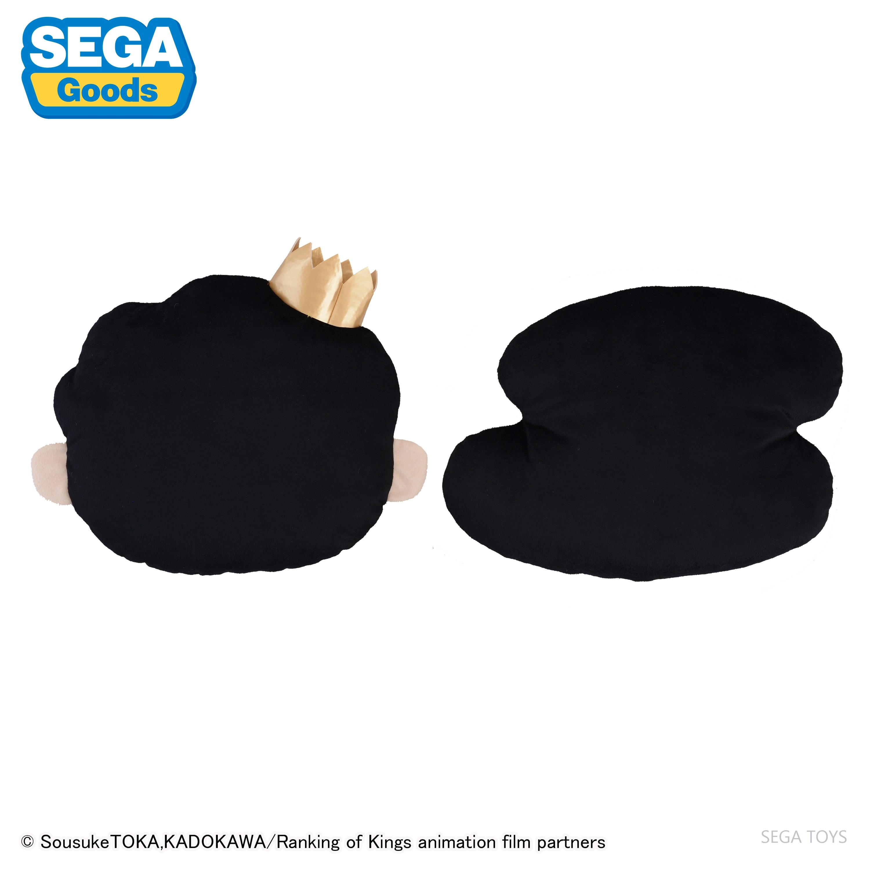 SEGA pm