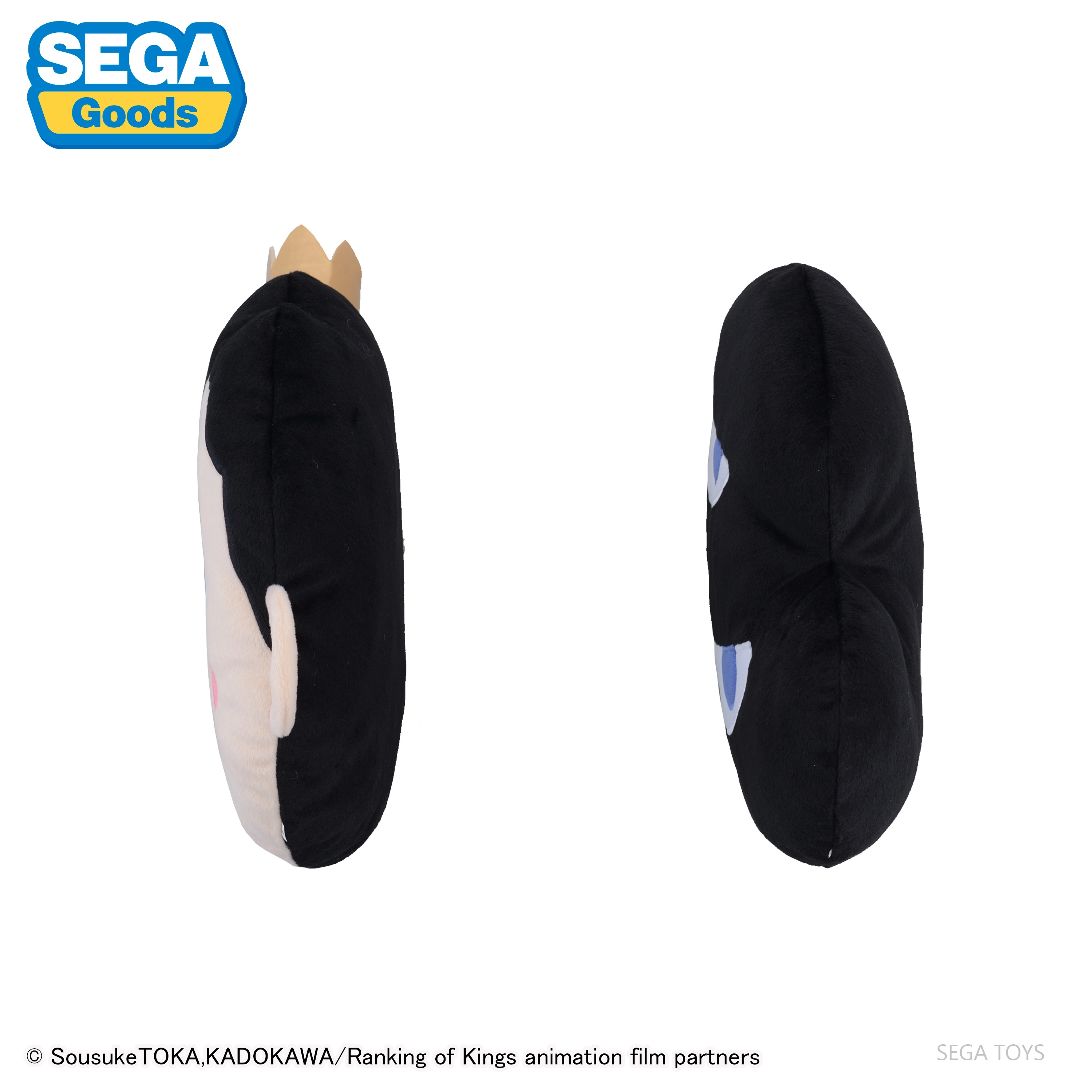 SEGA pm