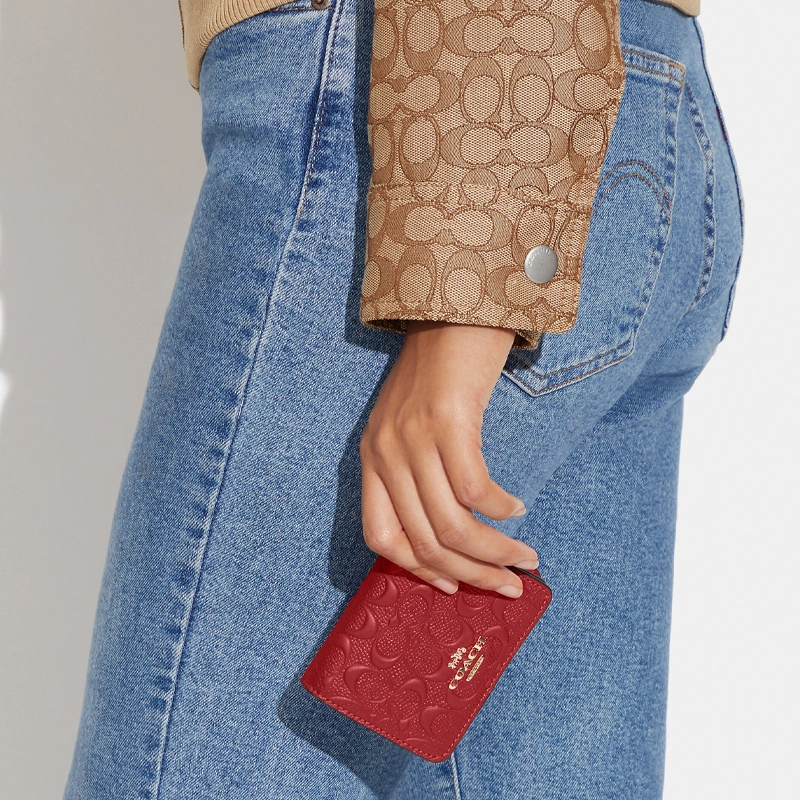 COACH Chain Wallet 10