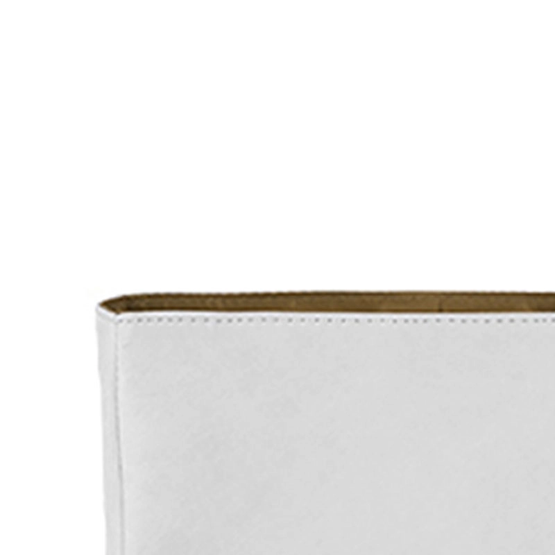 diorTravel Nomad Oblique