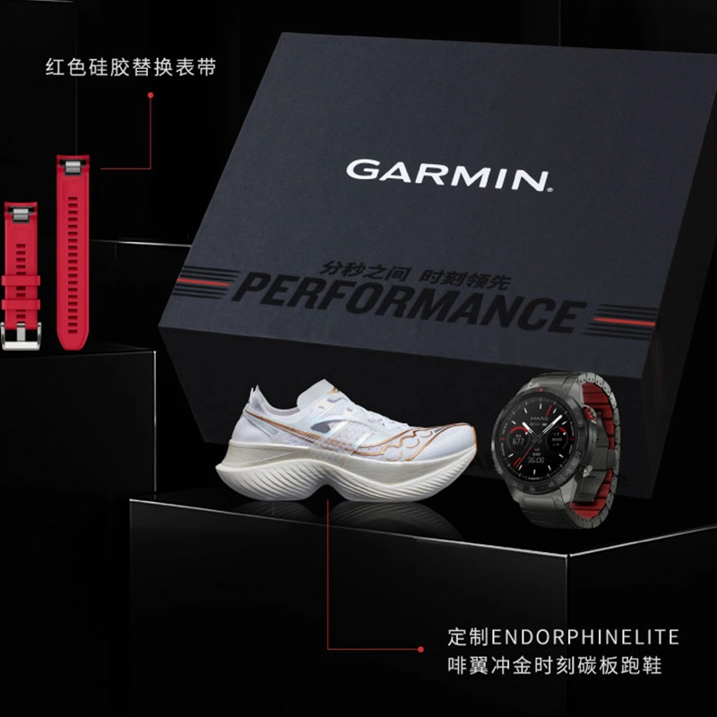 GARMIN - MARQ2