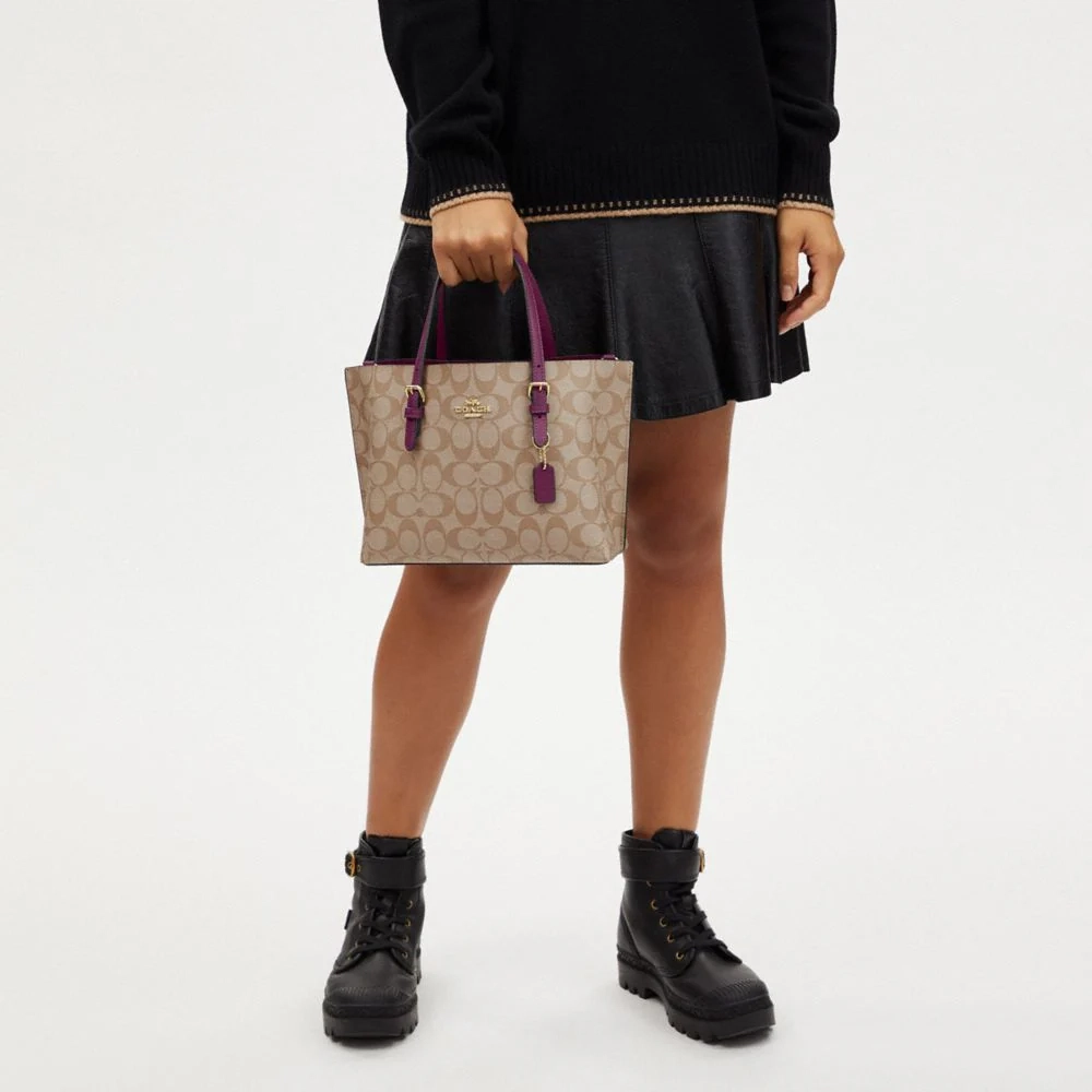 COACH Mollie 25 Tote