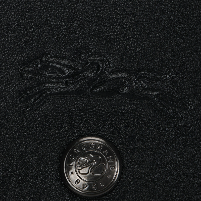 LONGCHAMP Le Pliage Cuir 21