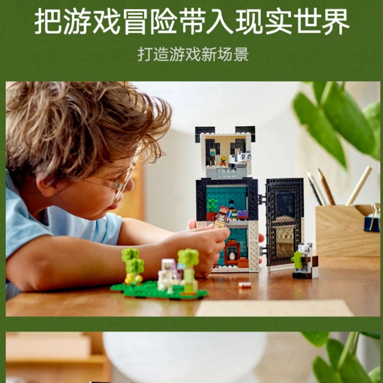 LEGO 21245-1