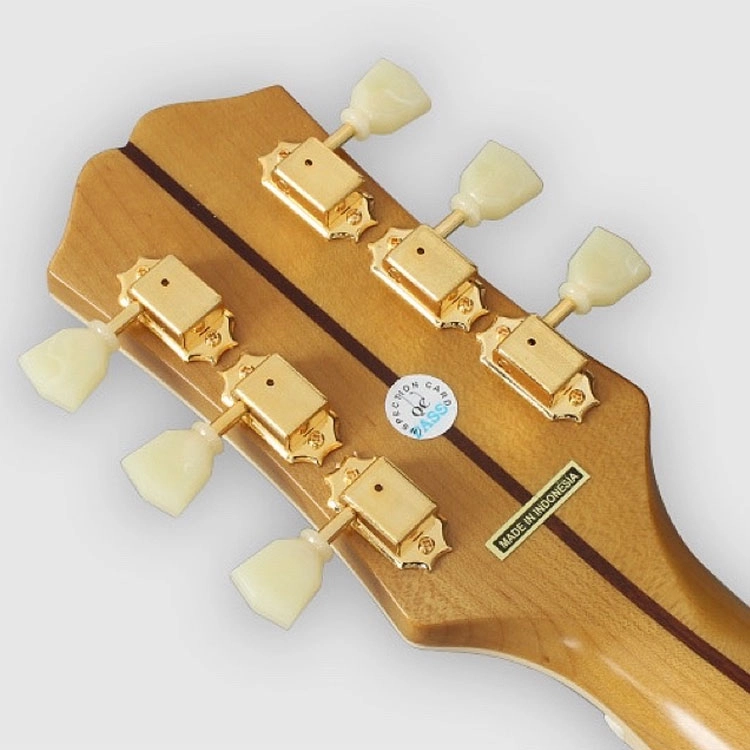 Epiphone J-200 Fishman