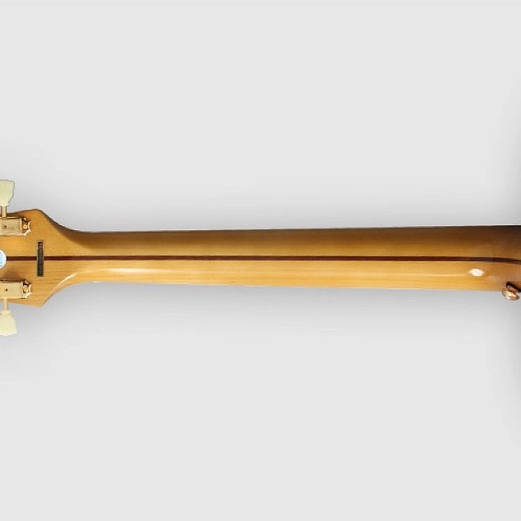 Epiphone J-200 Fishman