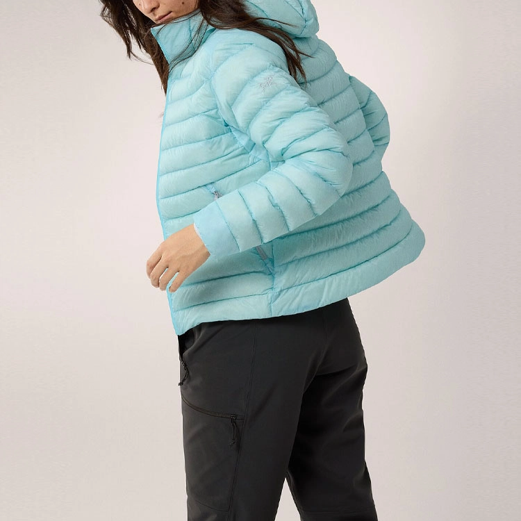 Arcteryx cerium hoody logo