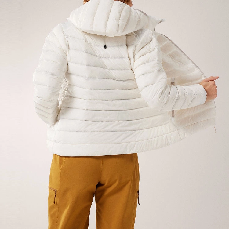 Arcteryx cerium hoody logo