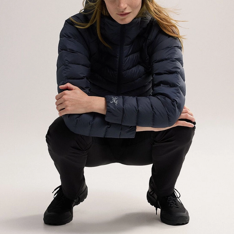 Arcteryx cerium hoody logo