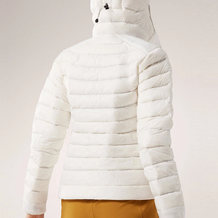 Arcteryx cerium hoody logo