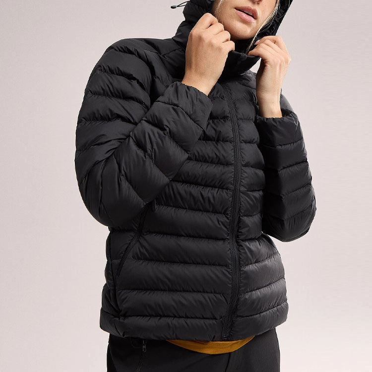 Arcteryx cerium hoody logo