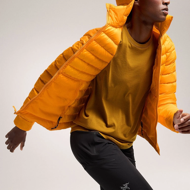 Arcteryx cerium hoody logo