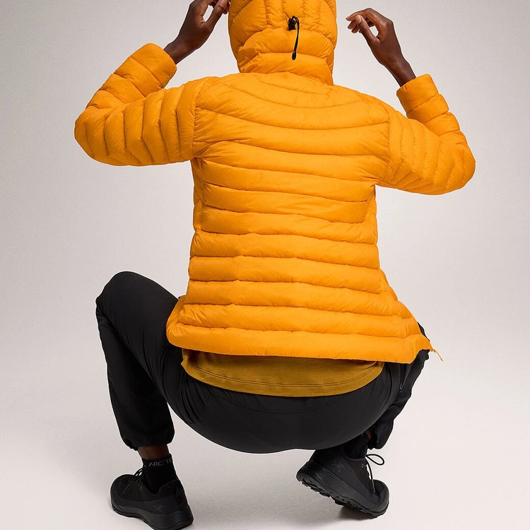 Arcteryx cerium hoody logo
