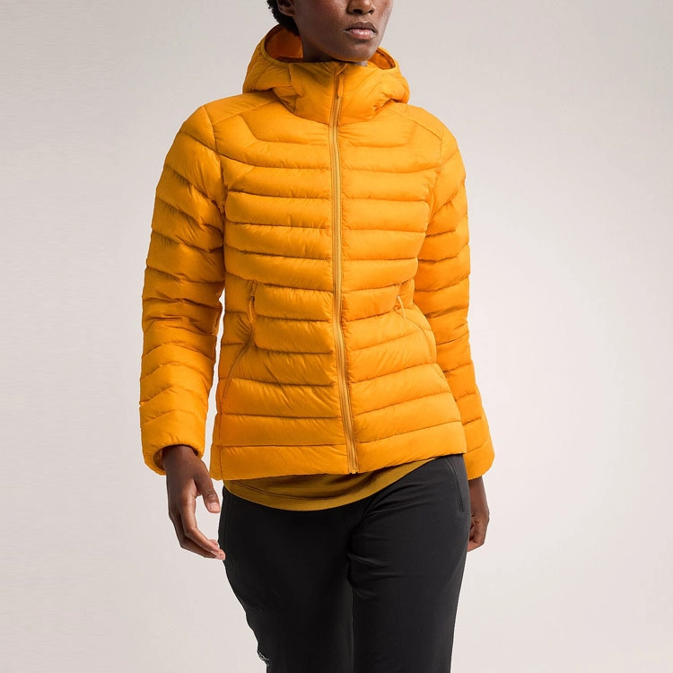 Arcteryx cerium hoody logo