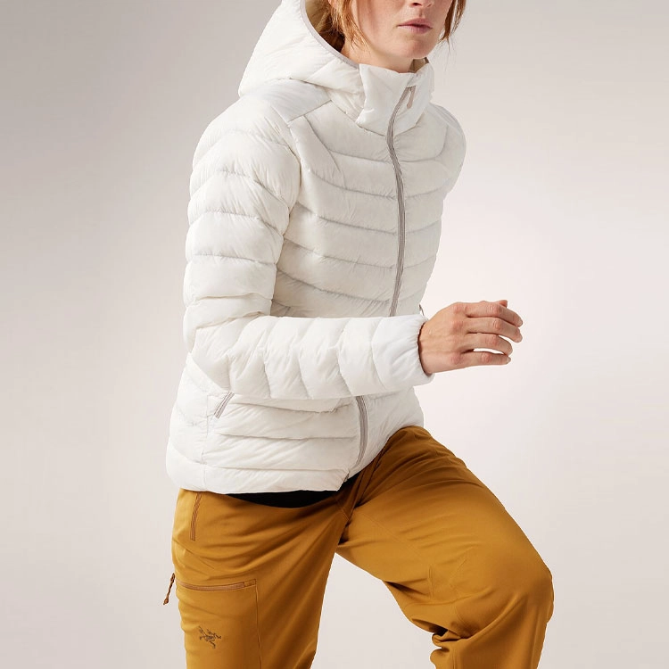Arcteryx cerium hoody logo