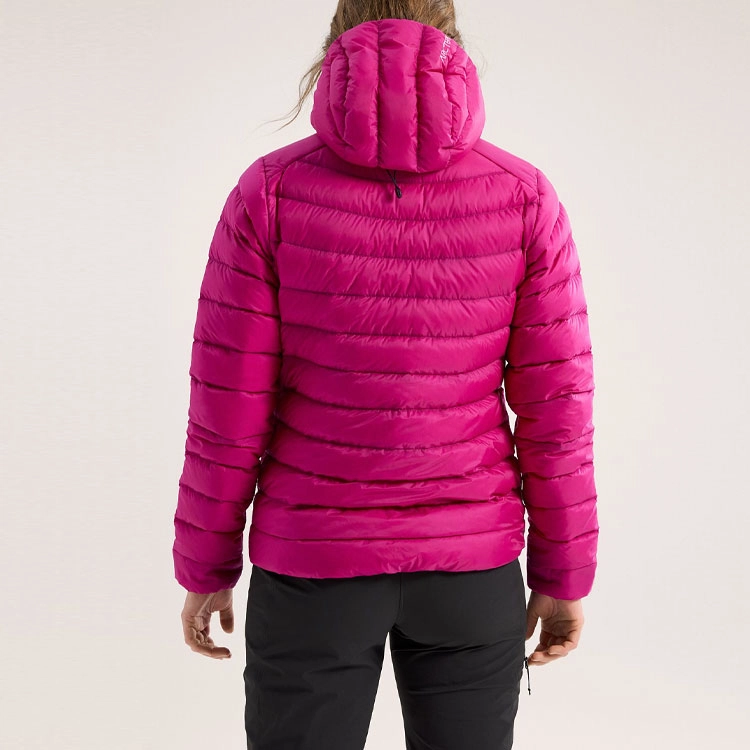 Arcteryx Cerium Hoody Logo