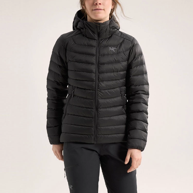 Arcteryx Cerium Hoody Logo