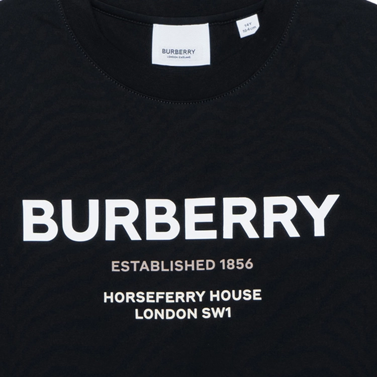 Burberry LogoT