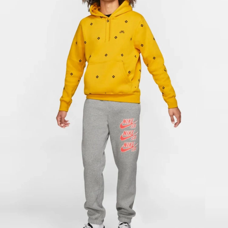 Nike SB Icon