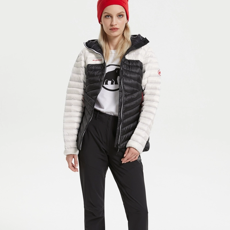 MAMMUT Broad