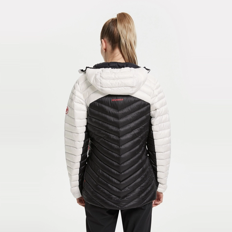 MAMMUT Broad