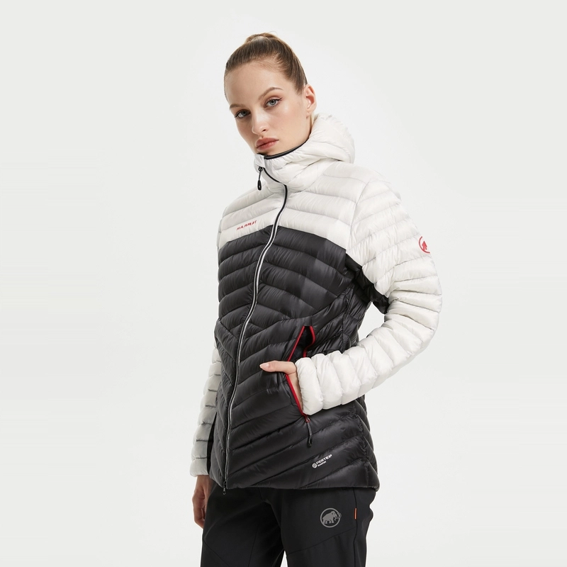 MAMMUT Broad