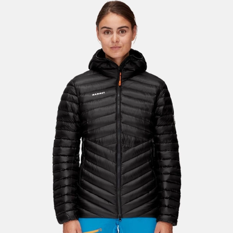 MAMMUT Broad