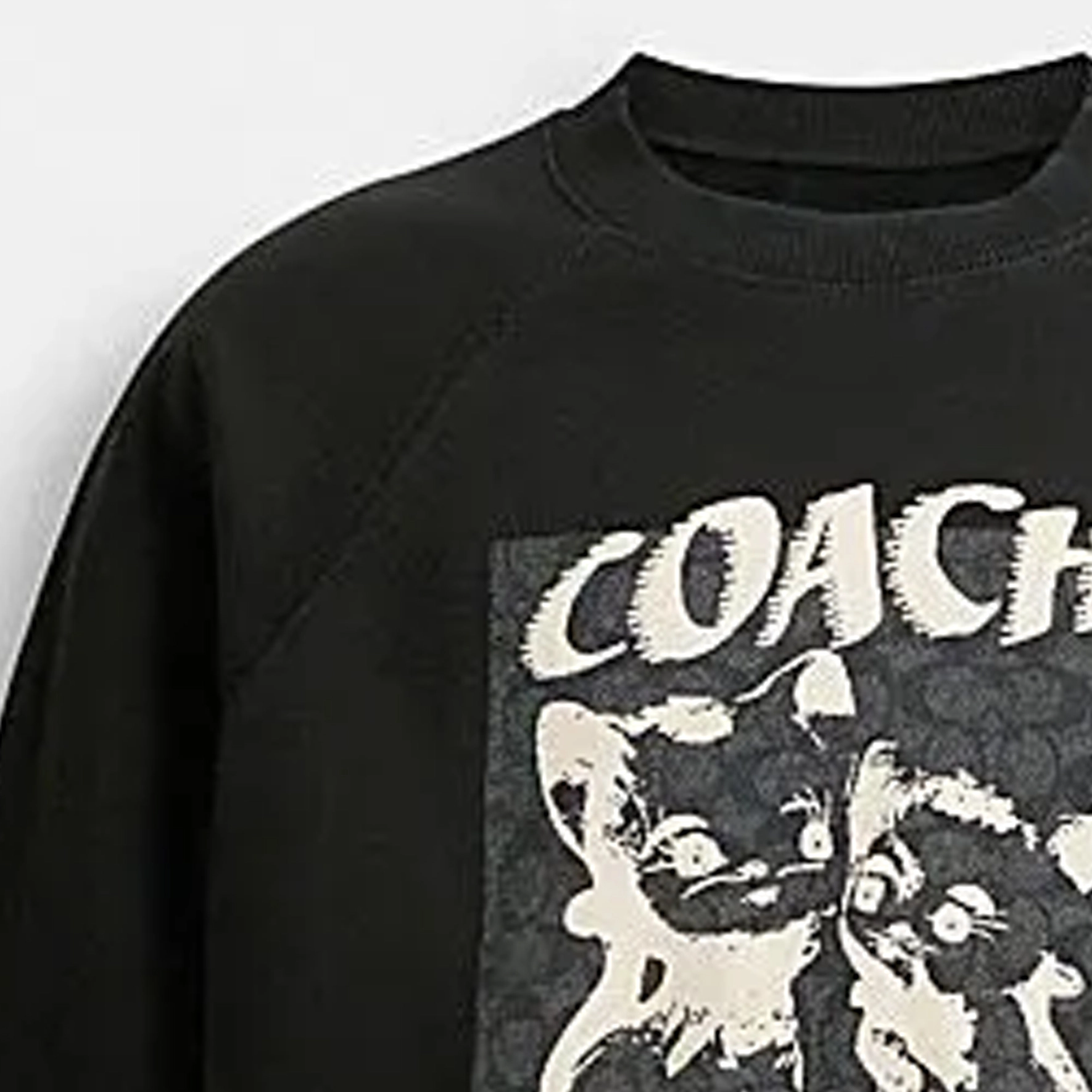 COACH SS24
